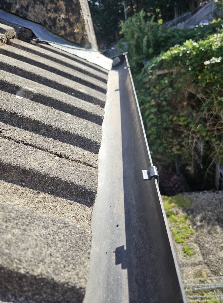 1066 Gutter Cleaning work