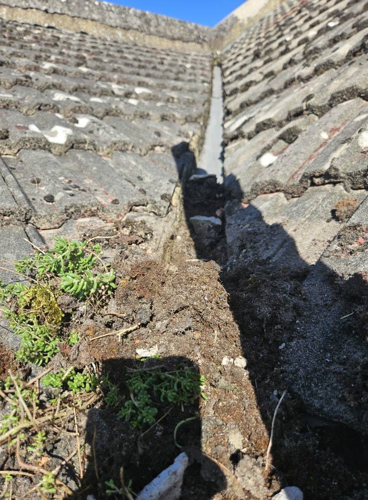 1066 Gutter Cleaning work